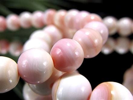 ☆激安価格！☆淡いピンクカラー☆激レア！貝の女王！クイーンコンク貝