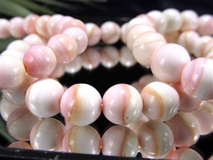 ☆激安価格！☆淡いピンクカラー☆激レア！貝の女王！クイーンコンク貝