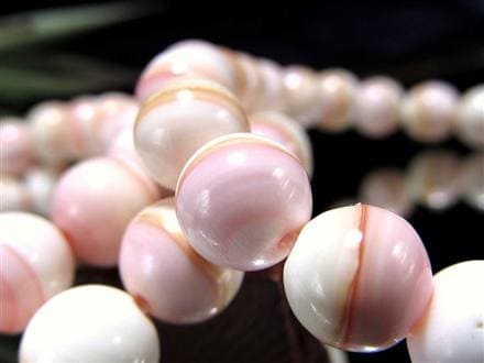 ☆激安価格！☆淡いピンクカラー☆激レア！貝の女王！クイーンコンク貝