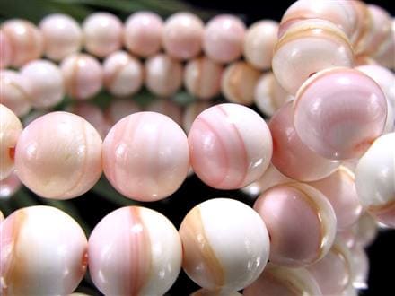 ☆激安価格！☆淡いピンクカラー☆激レア！貝の女王！クイーンコンク貝