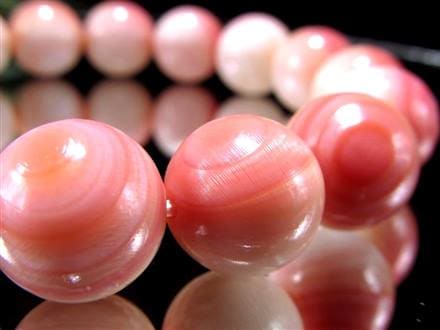 ☆極上天然桃色☆激レア!!☆貝の女王!!クイーンコンク貝☆丸珠