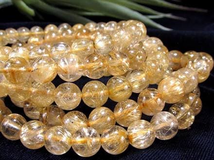 ☆金針ぎっしり！濃密ゴールド！☆繊細な金針が幾重にも広がる圧巻の