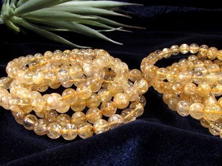 ☆金針ぎっしり！濃密ゴールド！☆繊細な金針が幾重にも広がる圧巻の