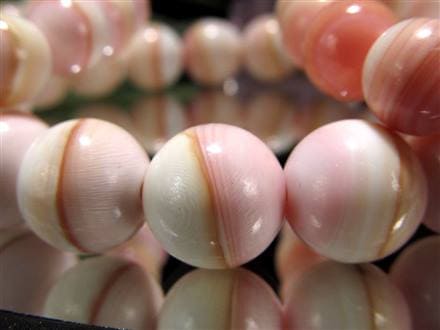 希少・特大】クイーンコンクシェル ピンク貝 約1.32kg ピンク
