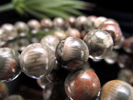 ☆限定入荷！☆古代生物のエネルギーを宿した石☆希少！ウミユリの化石