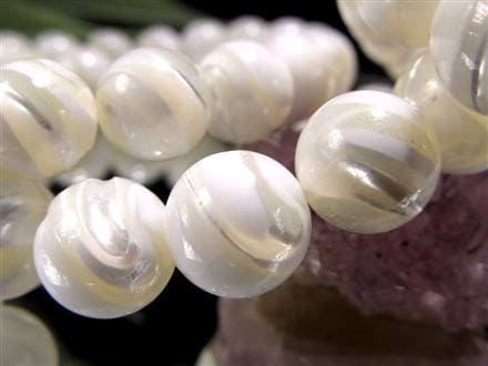 ☆激安大特価！☆純真ホワイトカラー☆真珠を産み出す母貝(貝殻