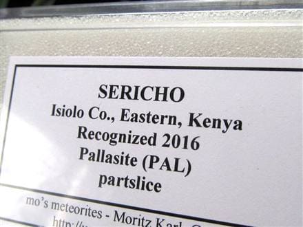 ☆ 「見て美しい」数少ない隕石セリコ・パラサイト☆世界で最も美しい