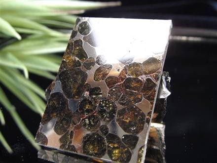 ☆ 「見て美しい」数少ない隕石セリコ・パラサイト☆世界で最も美しい