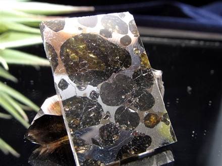 ☆ 「見て美しい」数少ない隕石セリコ・パラサイト☆世界で最も美しい