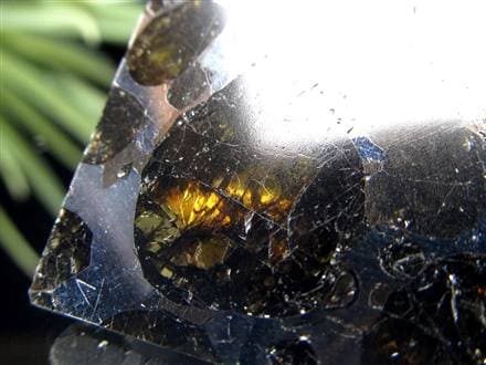 ☆ 「見て美しい」数少ない隕石セリコ・パラサイト☆世界で最も美しい