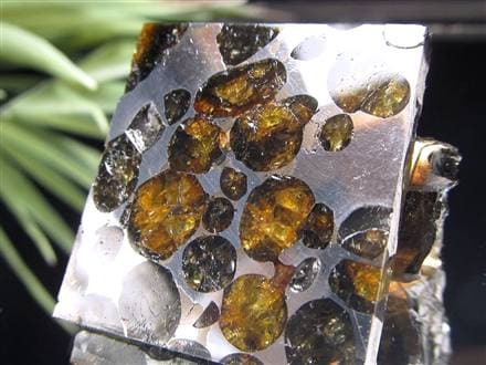 セリコ・パラサイト 隕石 原石標本 黄金色オリビン切面 × 自然外殻｜約30g セリコ・パラサイト隕石 原石標本 黄金色オリビン切面 × 自然外殻｜約30g