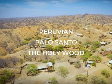 1kg★激安ご奉仕★希少☆神秘的な香り【聖なる樹バロサント香ウッドフレーク】… 1kg☆激安ご奉仕☆希少☆神秘的な香り【聖なる樹バロサント香