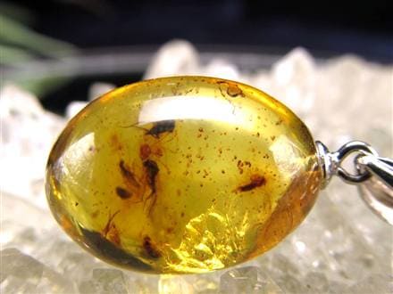 天然石 虫入り 琥珀 ペンダントトップ （LLL） 天然石 虫入り 琥珀 ペンダントトップ （LLL）