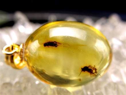☆少量限定！激レア商品☆古代の息吹が宿る樹液の化石☆4千年前