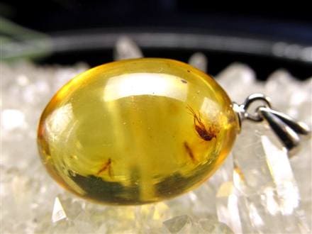 ☆少量限定！激レア商品☆古代の息吹が宿る樹液の化石☆4千年前