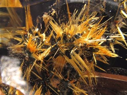 秘蔵放出!!】☆眩く輝くたっぷり太陽放射針☆極上結晶の中に広がる