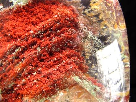 ◇紅蓮ガーデン◇圧巻の天然芸術◇燃え立つ赤き景色◇限定1点物