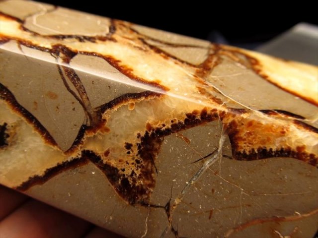 マダガスカル産　セプタリアン マダガスカル産セプタリアン(亀甲石)/Septarian