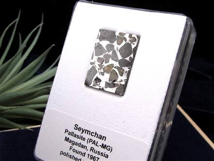 ☆早い者勝ち！限定7点のみ☆石鉄隕石パラサイト☆世界で最も美しい