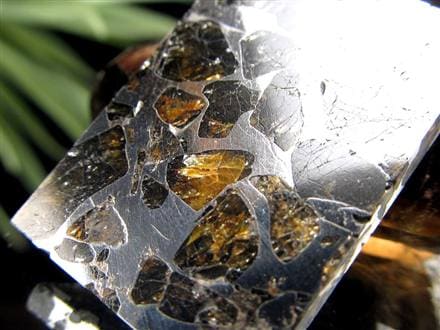 ☆ 渋さが際立つ重厚金属セイムチャン・ パラサイト☆世界で最も美しい