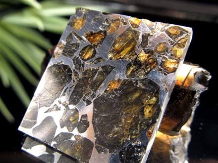 ☆ 渋さが際立つ重厚金属セイムチャン・ パラサイト☆世界で最も美しい