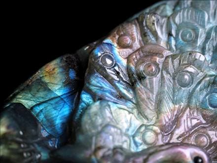 専用　フルカラー孔雀×2 TWIN – DRAGON JAPAN OFFICIAL STORE