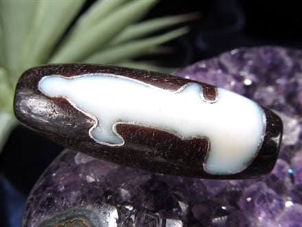 希少線天珠 123 天珠 楕円形 双虎牙天珠 希少 dzibeads！ 虎牙