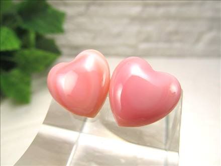 クイーンコンクシェル大物激レア