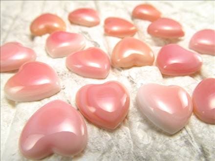 ☆激レア！ぷっくりハート型☆貝の女王！クイーンコンク☆極上天然桃色