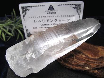 レムリアンシードクリスタル 1282ｇ　（シンギング） ☆古代の叡智を封じ込めた水晶☆別名シンギングクリスタル☆清らかな力