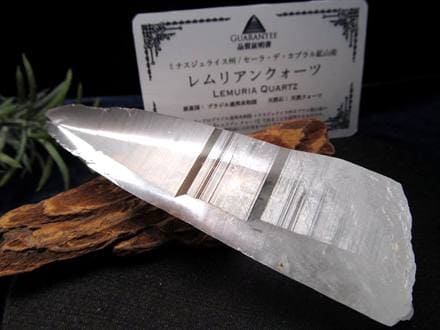 レムリアンシードクリスタル 1282ｇ　（シンギング） ☆古代の叡智を封じ込めた水晶☆別名シンギングクリスタル☆清らかな力