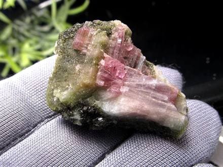 産地直送】◇希少標本を特別価格で！◇グリーンとピンクの色彩美◇艶々