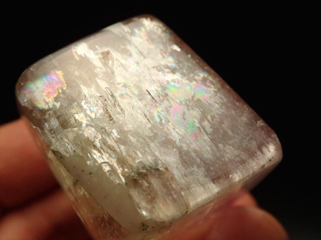 ◇限定少量入荷！◇希少！バイカラー◇極上！透明グリーン・虹入り