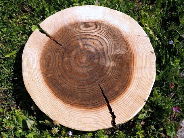 ☆産地直送！国産スギ使用！☆香りも楽しめる天然木材☆原石や置物の