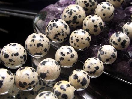 「レア天然石」swd.★ダルメシアンジャスパー&ブラックスピネル★ 14kgf》dog lover ネックレス/ダルメシアンジャスパー・ブラック