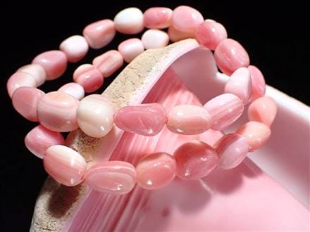 クイーンコンクシェル大物激レア