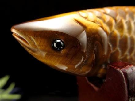 タイガーアイ アロワナ 【公式通販】