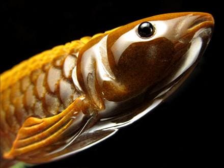 ☆繊細彫刻！龍魚と呼ばれる古代魚☆権力や繁栄、事業の発展の