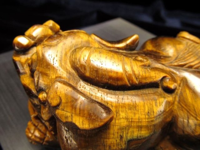 336367046_6111440492254861_376