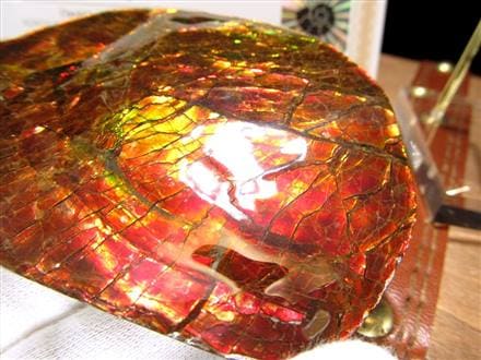 ☆お待たせしました!!☆待望の再入荷！☆華やかに輝く遊色効果☆生物 