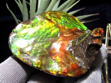 ☆早い者勝ち☆数量限定！大特価☆カナダ産の至宝☆光の層が踊る☆圧巻