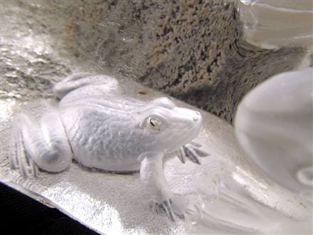 ☆飛躍と財運を呼ぶ蛙！☆風水開運置物☆太古から親しまれた万能