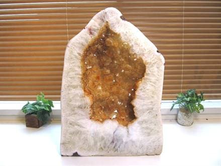 ◇圧巻の大型サイズ◇黄金色に輝く結晶がびっしり◇光を受けて煌めく