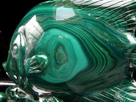 ☆孔雀石の彩り×熱帯魚の王様【ディスカス】モチーフ☆神秘模様際立つ