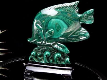 ☆孔雀石の彩り×熱帯魚の王様【ディスカス】モチーフ☆神秘模様際立つ