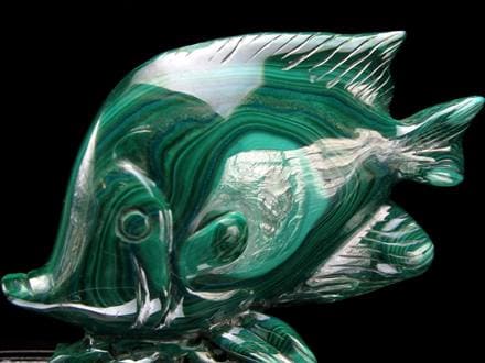 ☆孔雀石の彩り×熱帯魚の王様【ディスカス】モチーフ☆神秘模様際立つ