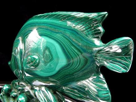 ☆孔雀石の彩り×熱帯魚の王様【ディスカス】モチーフ☆神秘模様際立つ