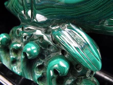 ☆孔雀石の彩り×熱帯魚の王様【ディスカス】モチーフ☆神秘模様際立つ