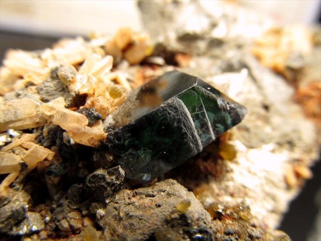 希少 ヴィヴィアナイト シェルフォッシル 藍鉄鉱 貝化石 原石 標本