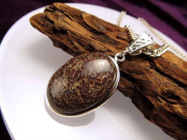 ☆激レア！限定入荷☆太古のロマン☆恐竜の骨の化石『ダイナソーボーン